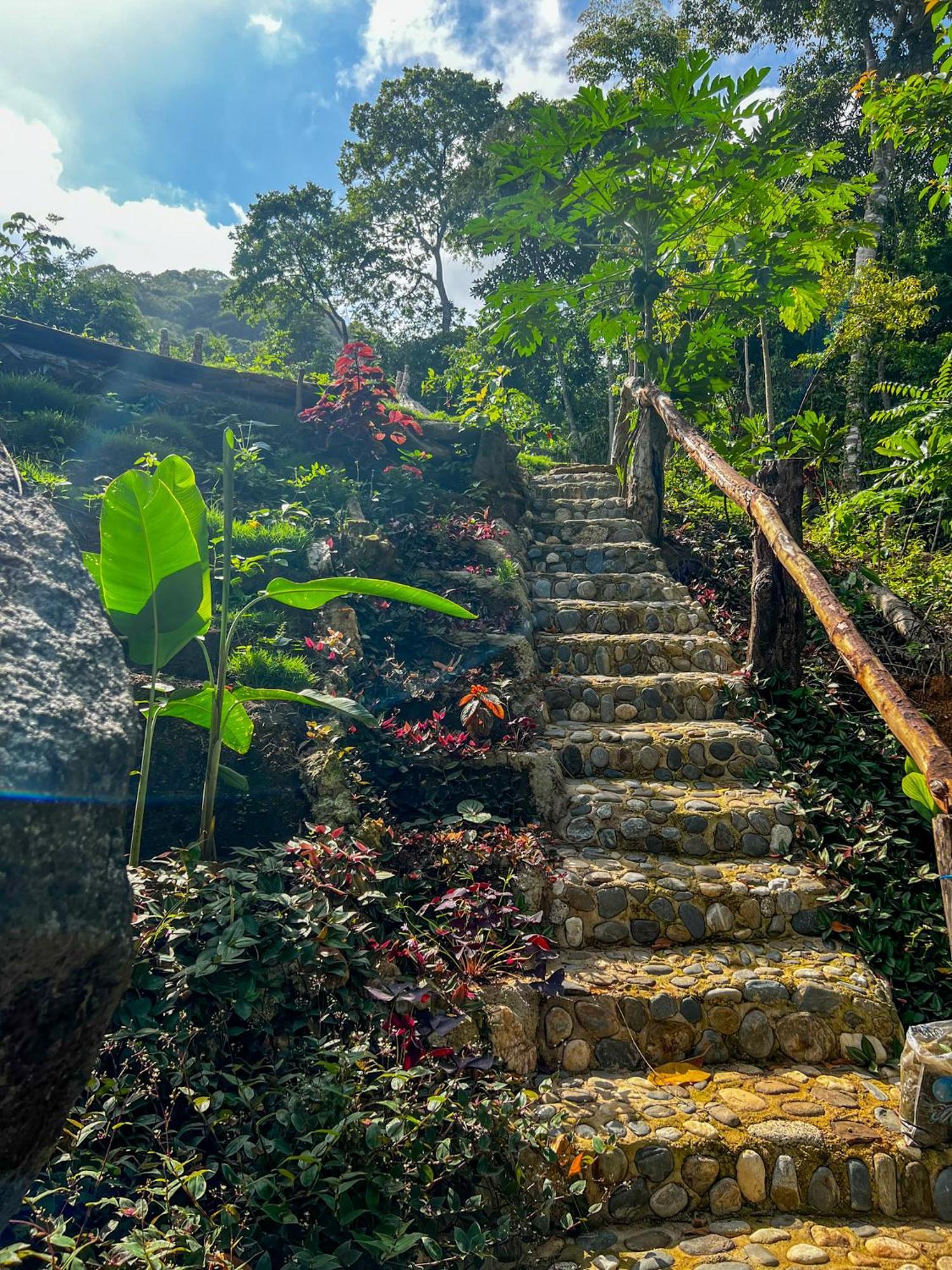 Hostal Paraiso Tayrona Kogui Los Naranjos Eksteriør billede